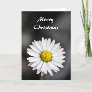Cartes Pour Fêtes Annuelles Noël belle marguerite blanche et jaune