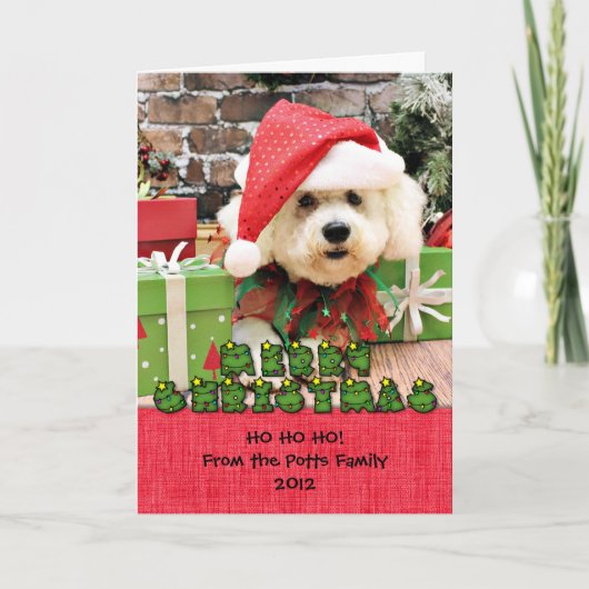 Cartes Pour Fêtes Annuelles Noël - Bichon Frise - Daisy (Devant)