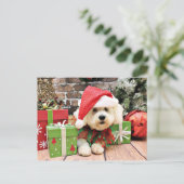 Cartes Pour Fêtes Annuelles Noël - Bichon Frise - Daisy (Debout devant)