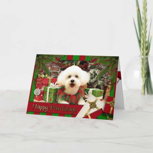 Cartes Pour Fêtes Annuelles Noël - Bichon Frise - Lilly (Devant)