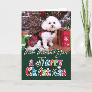 Cartes Pour Fêtes Annuelles Noël - Bichon Frise - Mia