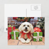 Cartes Pour Fêtes Annuelles Noël - Bichon X - Bella (Devant / Derrière)
