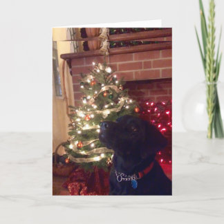 Cartes Pour Fêtes Annuelles Noël Black Lab