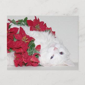 Cartes Pour Fêtes Annuelles Noël blanc