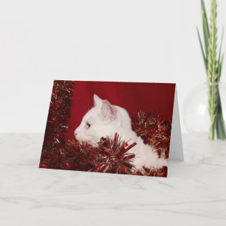 Cartes Pour Fêtes Annuelles Noël blanc