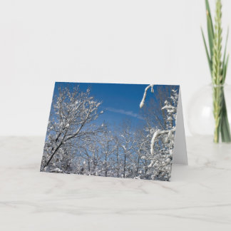 Cartes Pour Fêtes Annuelles Noël blanc