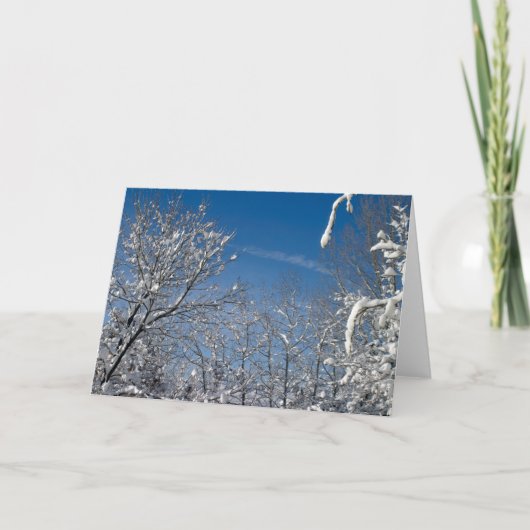 Cartes Pour Fêtes Annuelles Noël blanc (Devant)