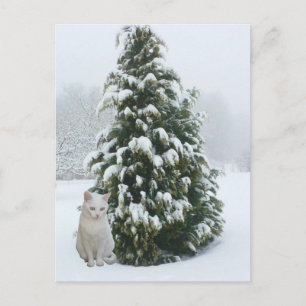 Cartes Pour Fêtes Annuelles Noël blanc