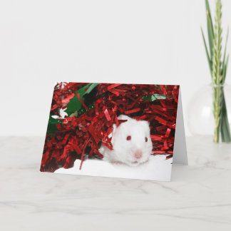 Cartes Pour Fêtes Annuelles Noël blanc de hamster