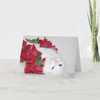 Cartes Pour Fêtes Annuelles Noël blanc de minou