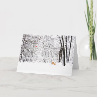 Cartes Pour Fêtes Annuelles Noël blanc et or