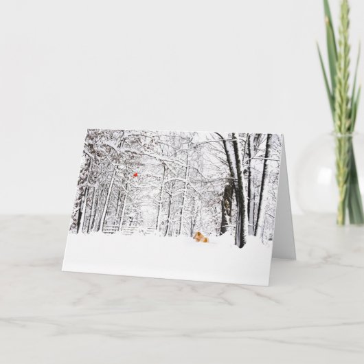 Cartes Pour Fêtes Annuelles Noël blanc et or (Devant)
