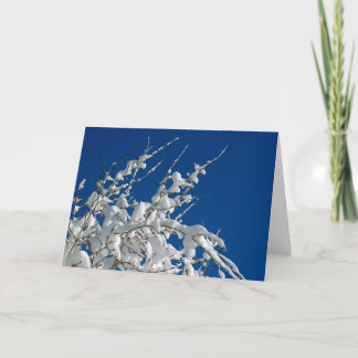 Cartes Pour Fêtes Annuelles Noël blanc II