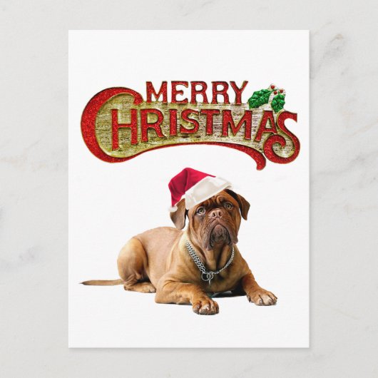 Cartes Pour Fêtes Annuelles Noël Bordeauxchien (Devant)