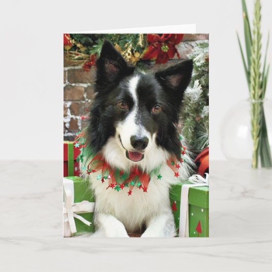 Cartes Pour Fêtes Annuelles Noël - border collie - Jessup (Devant)