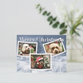 Cartes Pour Fêtes Annuelles Noël - Bordure Collie - Cockapoo (Debout devant)