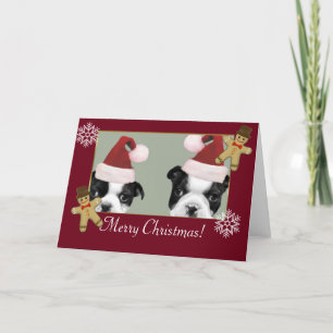 Cartes Pour Fêtes Annuelles Noël Boston Terriers