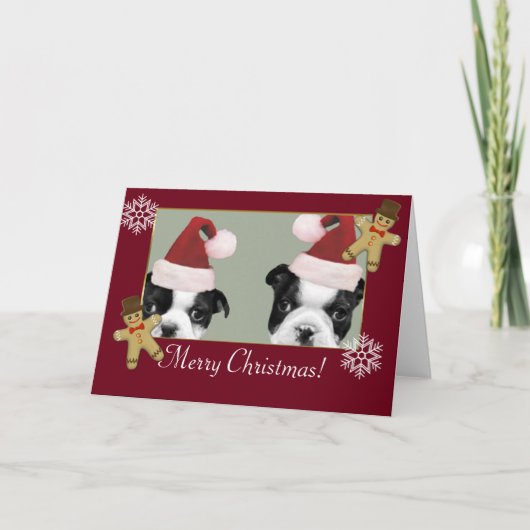 Cartes Pour Fêtes Annuelles Noël Boston Terriers (Devant)