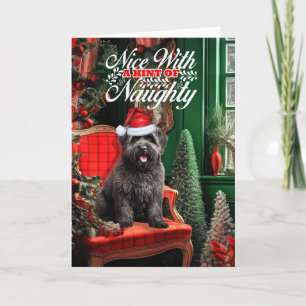 Cartes Pour Fêtes Annuelles Noël Bouvier des Flandres Chien Naughty ou Nice