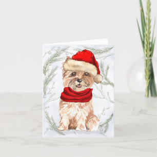 Cartes Pour Fêtes Annuelles Noël Cairn Terrier Chien et pins botaniques