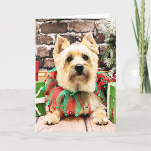 Cartes Pour Fêtes Annuelles Noël - Cairn Terrier - Lola