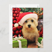 Cartes Pour Fêtes Annuelles Noël - cairn Terrier - Roxy (Devant / Derrière)