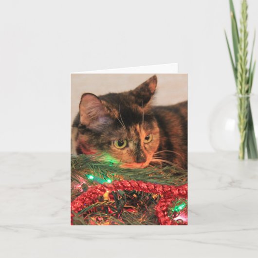 Cartes Pour Fêtes Annuelles Noël Calico, Chat aime les lumières ! (Devant)