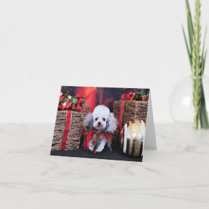 Cartes Pour Fêtes Annuelles Noël - caniche - Lilly