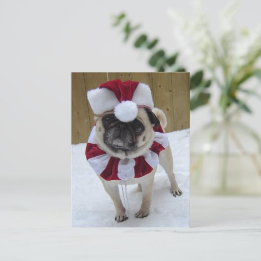 Cartes Pour Fêtes Annuelles Noël Carlin de vacances en neige (Debout devant)