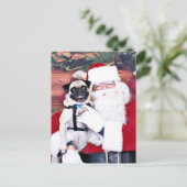 Cartes Pour Fêtes Annuelles Noël - carlin - Harvey (Debout devant)