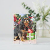 Cartes Pour Fêtes Annuelles Noël - Cavalier - Charlie (Debout devant)