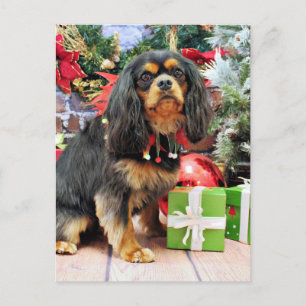 Cartes Pour Fêtes Annuelles Noël - Cavalier - Charlie