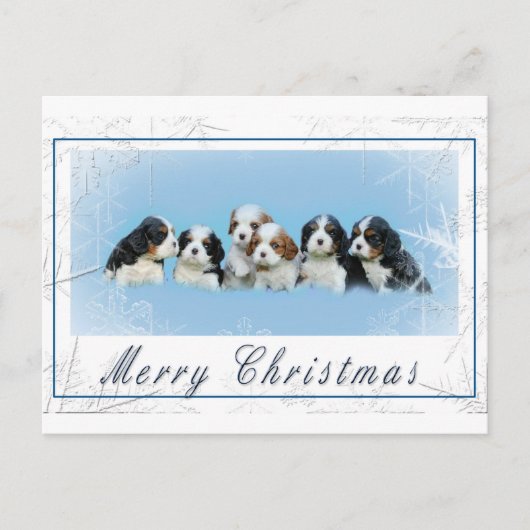 Cartes Pour Fêtes Annuelles Noël Cavalier King Charles Spaniel (Devant)