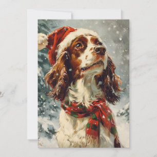 Cartes Pour Fêtes Annuelles Noël Cavalier King Charles Spaniel