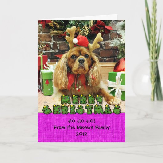 Cartes Pour Fêtes Annuelles Noël - Cavalier King Charles Spaniel - Meyers (Devant)