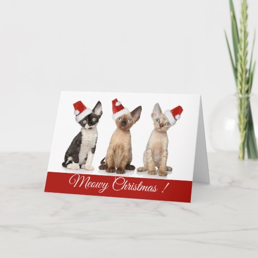 Cartes Pour Fêtes Annuelles Noël| Chatons de Noël de Meowy (Devant)