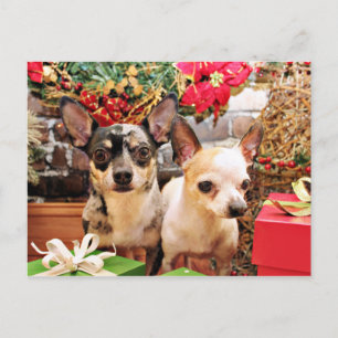Cartes Pour Fêtes Annuelles Noël - Chihuahua - Gordy et Pedro