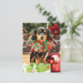 Cartes Pour Fêtes Annuelles Noël - Chiweenie - Titus (Debout devant)