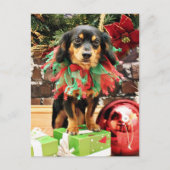 Cartes Pour Fêtes Annuelles Noël - Chiweenie - Titus (Devant)