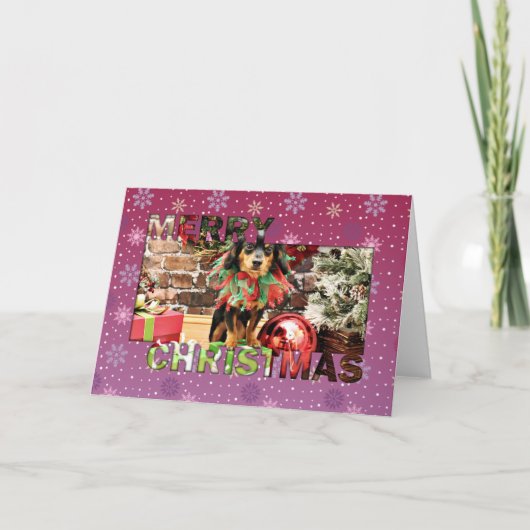 Cartes Pour Fêtes Annuelles Noël - Chiweenie - Titus (Devant)