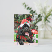 Cartes Pour Fêtes Annuelles Noël - Cockapoo - Jack (Debout devant)