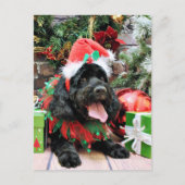 Cartes Pour Fêtes Annuelles Noël - Cockapoo - Jack (Devant)