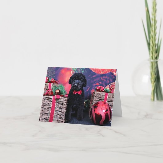 Cartes Pour Fêtes Annuelles Noël - Cockapoo - Max (Devant)