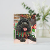 Cartes Pour Fêtes Annuelles Noël - Cockapoo - Sophie (Debout devant)