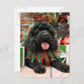 Cartes Pour Fêtes Annuelles Noël - Cockapoo - Sophie (Devant / Derrière)