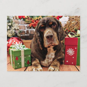 Cartes Pour Fêtes Annuelles Noël - Cocker Spaniel - Remmy