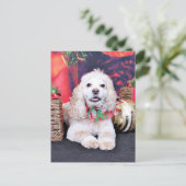 Cartes Pour Fêtes Annuelles Noël - Cocker Spaniel - Sammy (Debout devant)