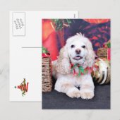 Cartes Pour Fêtes Annuelles Noël - Cocker Spaniel - Sammy (Devant / Derrière)