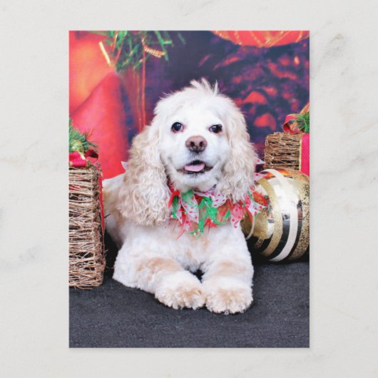 Cartes Pour Fêtes Annuelles Noël - Cocker Spaniel - Sammy (Devant)