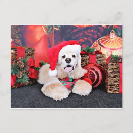 Cartes Pour Fêtes Annuelles Noël - Cocker Spaniel - Tobey (Devant)